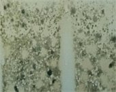 Mold on a wall - Pexels - water-in-abandoned-room-18302377