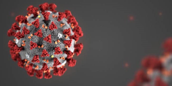 novel-coronavirus-2_1330pxA