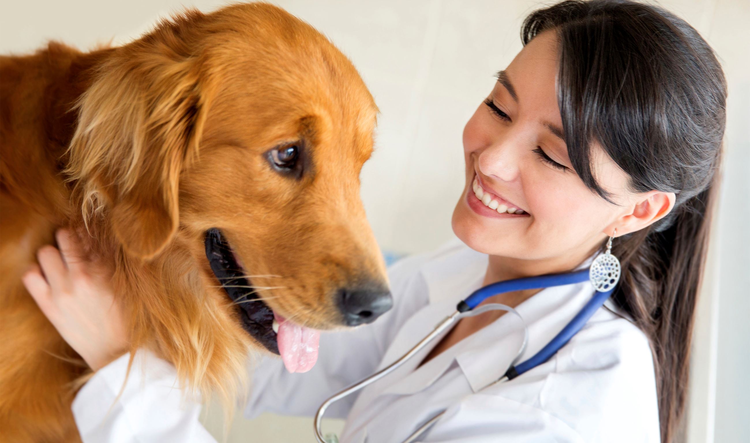 Veterinarian with dog