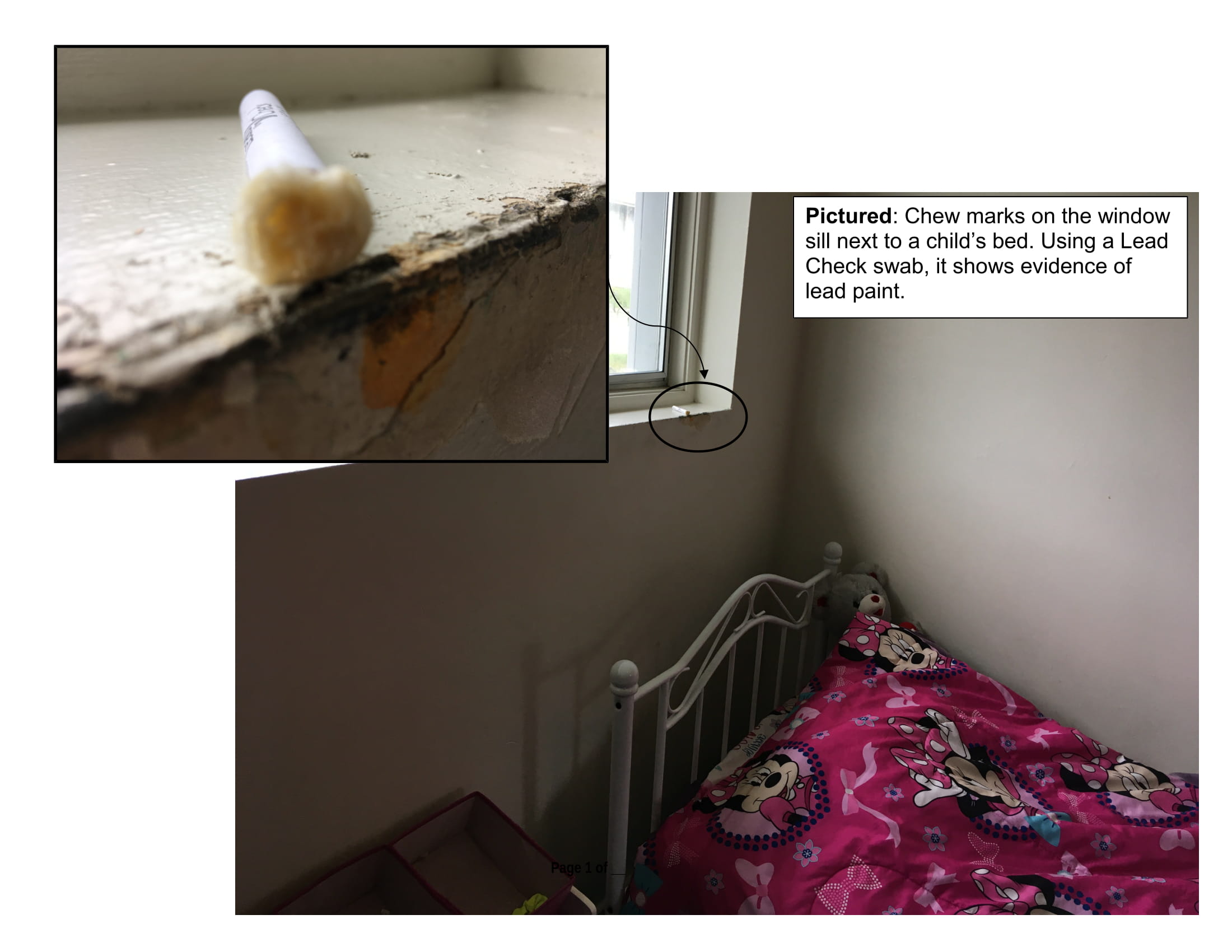 teethonpaint-1 Opens in new window